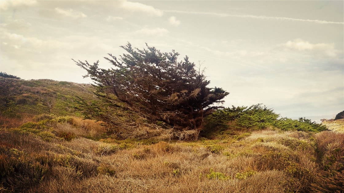 big sur victor ruano santasombra
