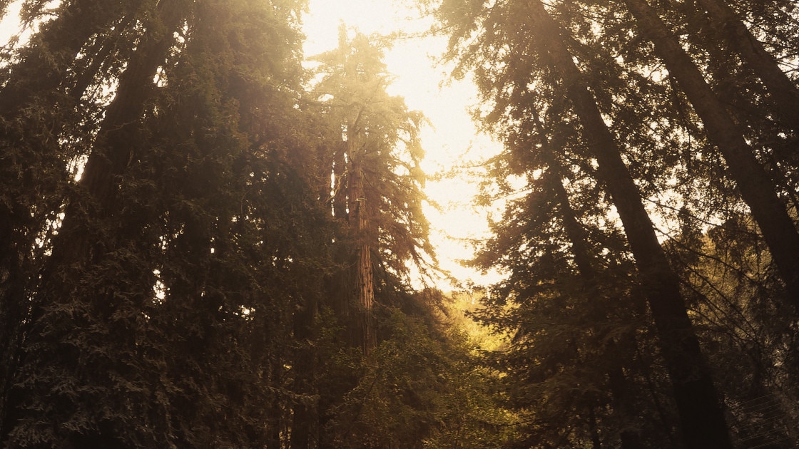 big sur victor ruano santasombra