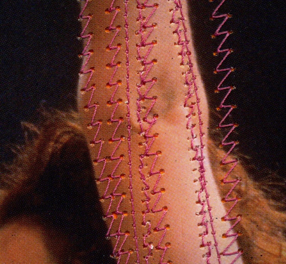 Dolor 2 collages-mujeres-victor-ruano-santasombra-07