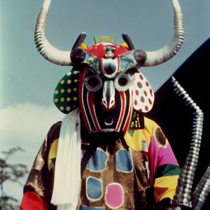 Bauhaus Samurai Guatemalan Luchador